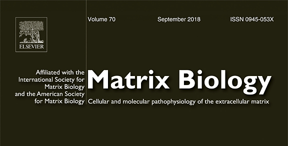 Matrix biology magazine