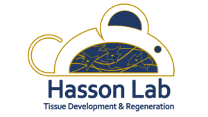 Logo_hasson
