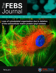 FEBS Journal - Rohtem paper Cover 2025